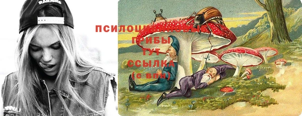 ECSTASY Аркадак