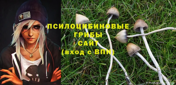 спайс Армянск