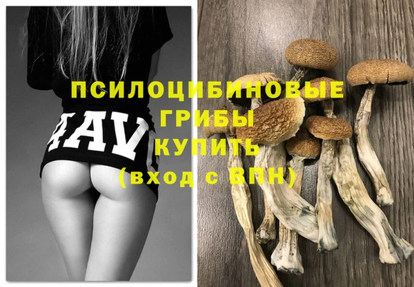 ECSTASY Аркадак